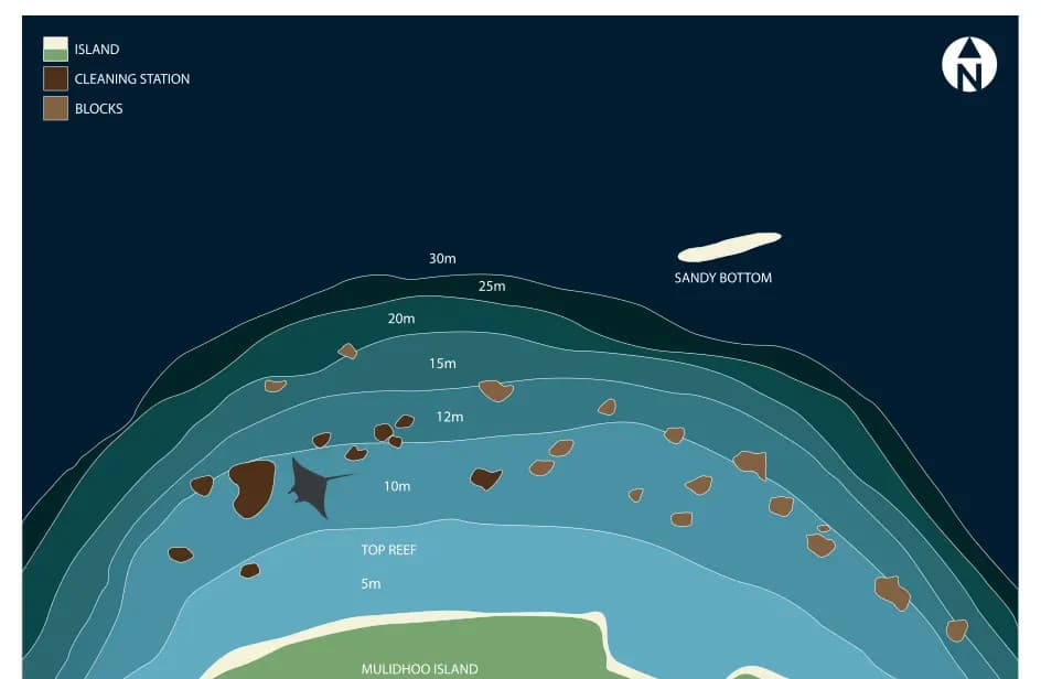 Bathymetric map of Aquarium