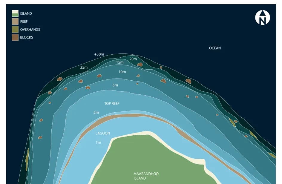 Bathymetric map of Coral Garden