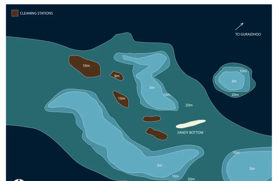 Bathymetric map of Guraidhoo Manta Point