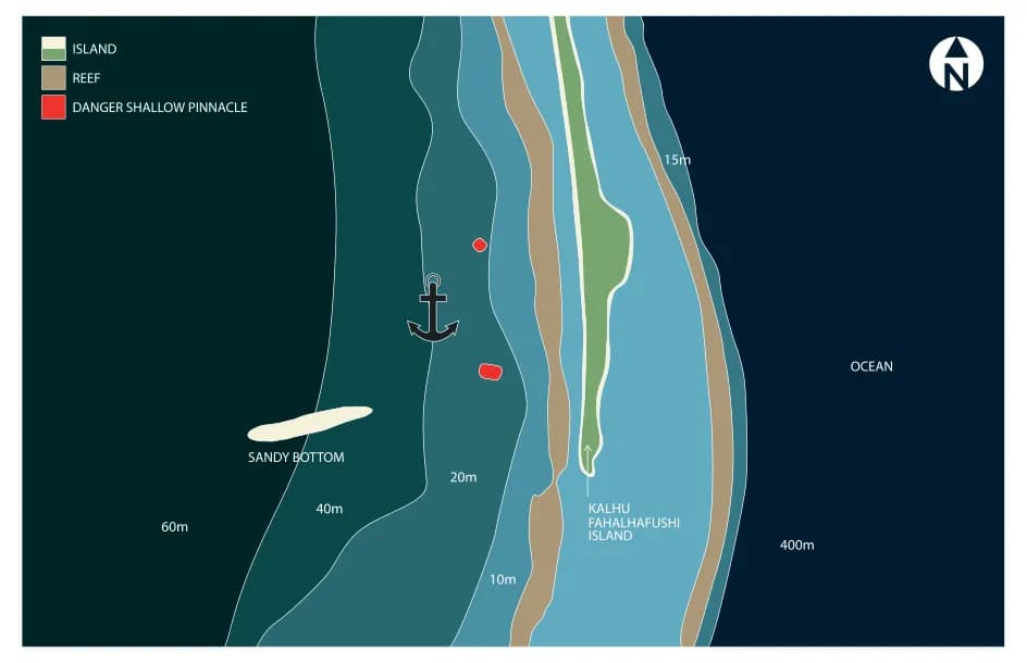Bathymetric map of Whale Shark Point