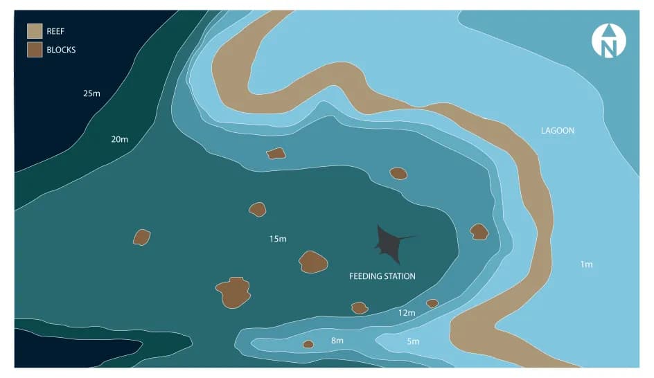 Bathymetric map of Huruvalhi (Manta Feeding Station)