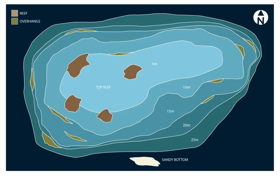 Bathymetric map of Miyaru Thila