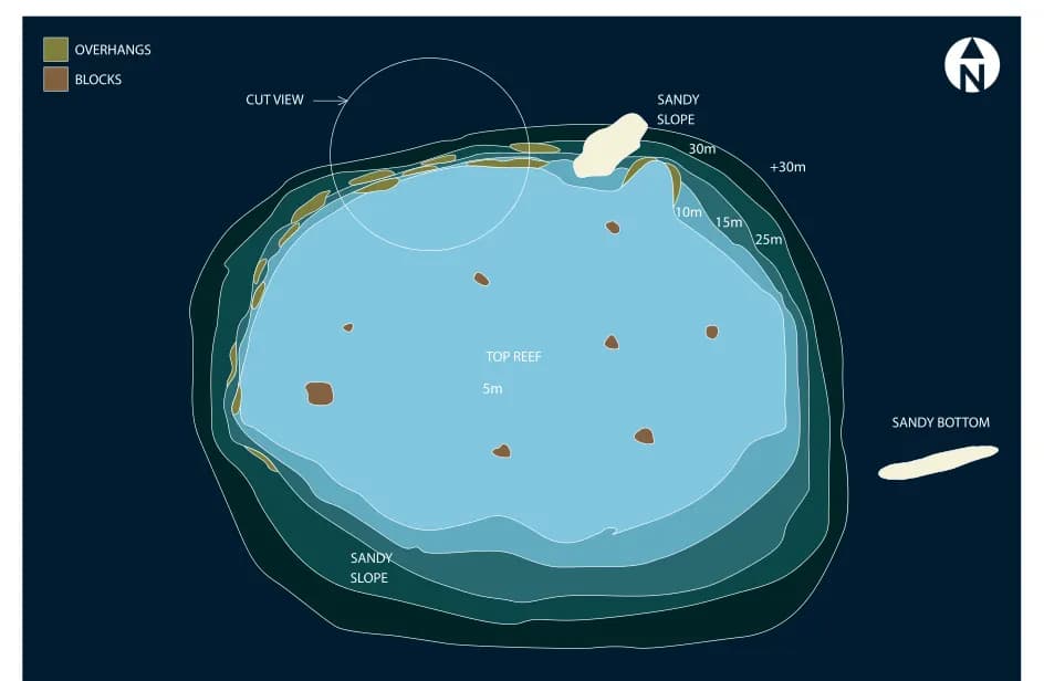 Bathymetric map of Rehi Reef