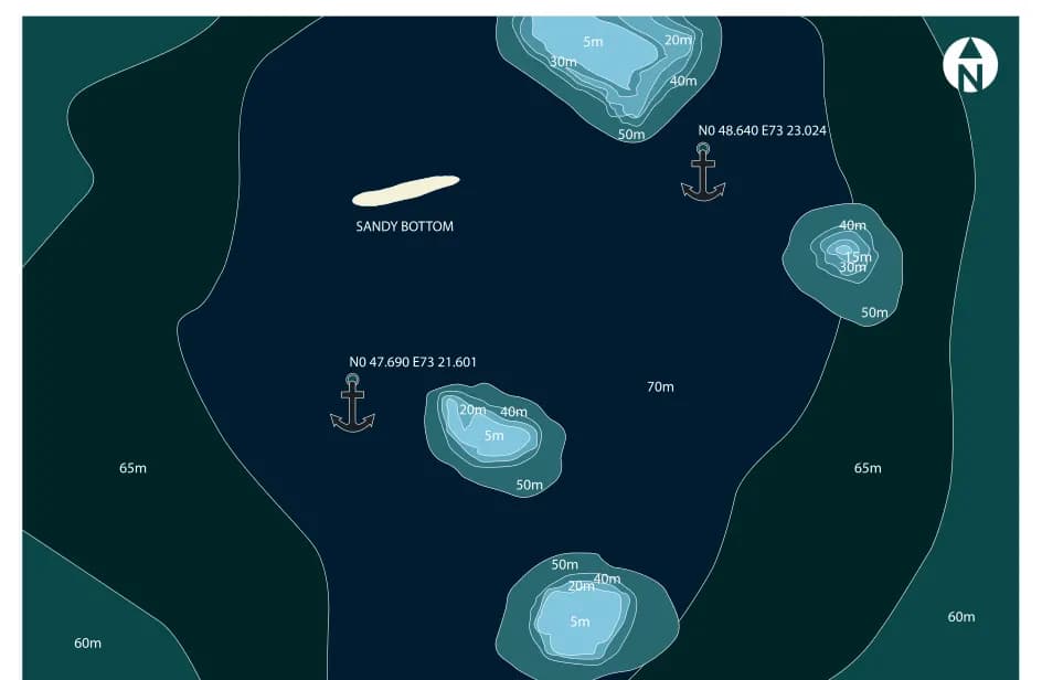 Bathymetric map of Whale Shark Point