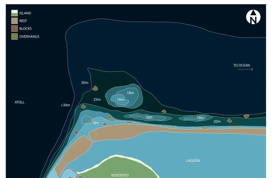 Bathymetric map of Turtle Point