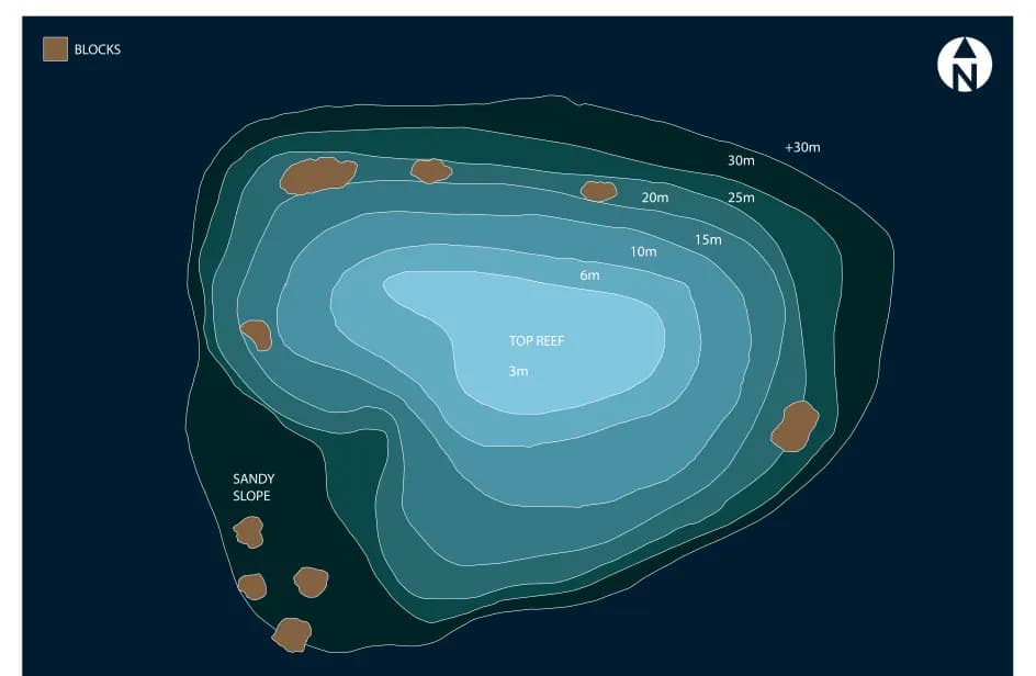 Bathymetric map of Mafzoo