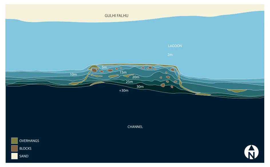 Bathymetric map of Kikki Reef