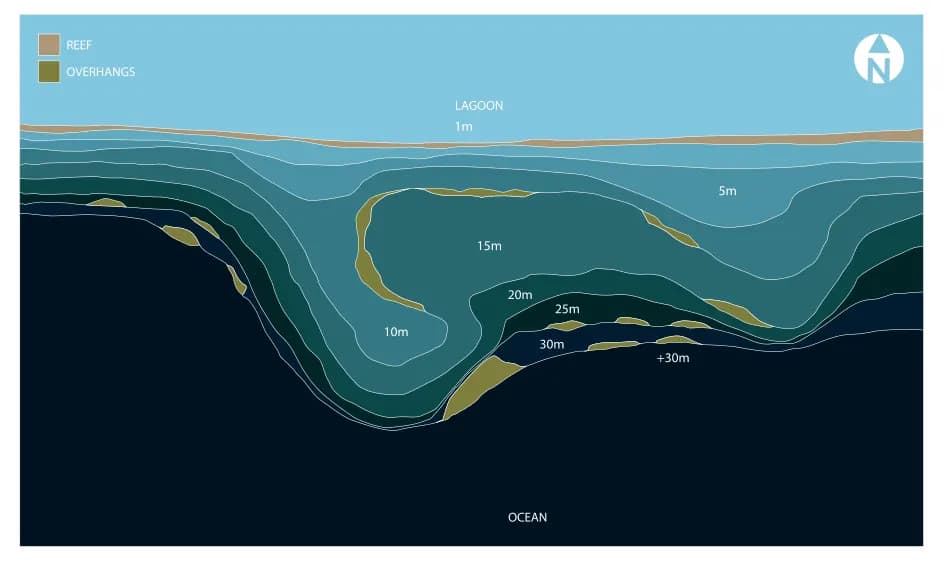 Bathymetric map of Lions Head