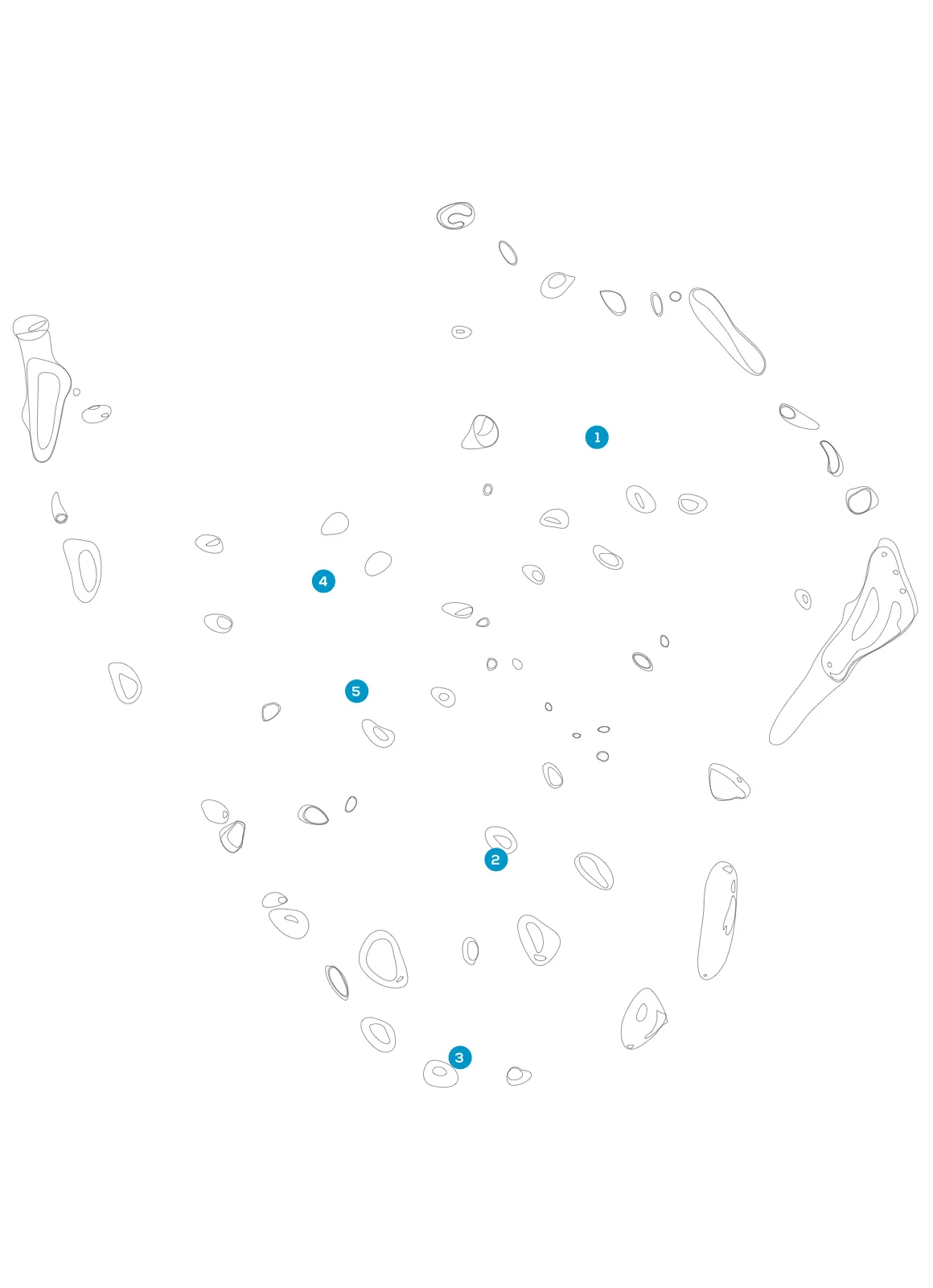 Noonu dive overview